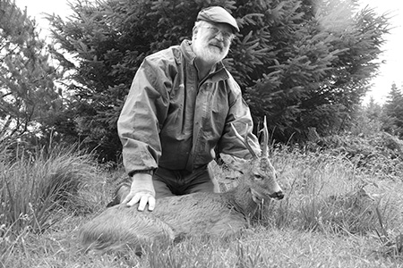 Traque de cerfs communs